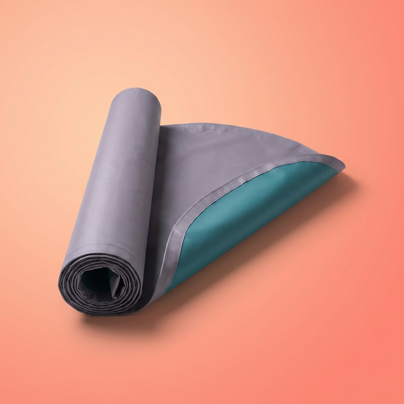 Couverture Solea 4m — La Famille